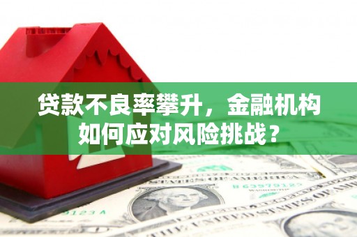 辽阳贷款不良率攀升，金融机构如何应对风险挑战？