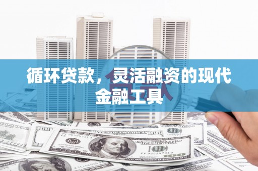 乐东循环贷款，灵活融资的现代金融工具