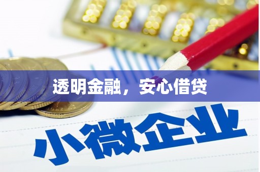 阿勒泰透明金融，安心借贷