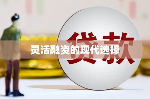晋宁灵活融资的现代选择