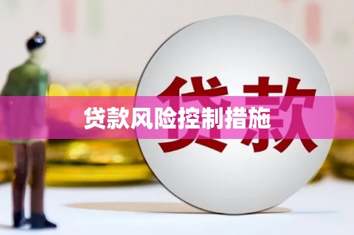 松山贷款风险控制措施
