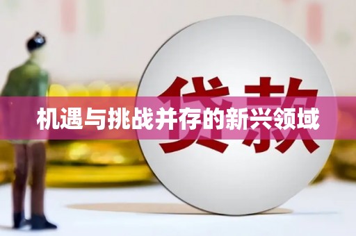 岳麓机遇与挑战并存的新兴领域