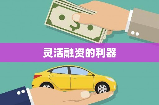 安图灵活融资的利器
