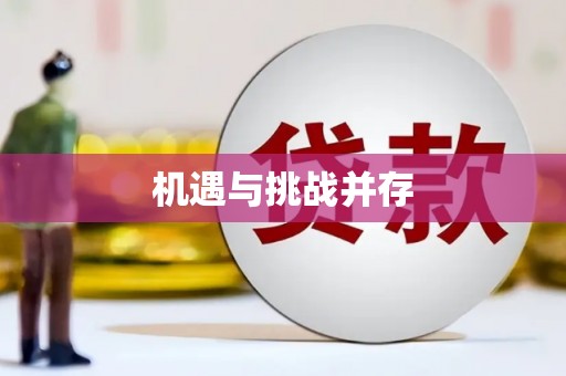 灵石机遇与挑战并存